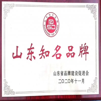 喜報(bào)！山東天工入選2020年度山東知名品牌